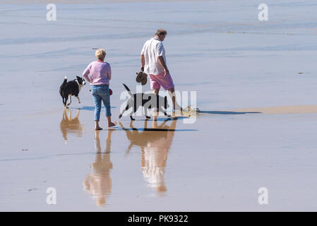 Hund Spaziergänger auf den Fistral Beach bei Ebbe in Newquay Cornwall. Stockfoto