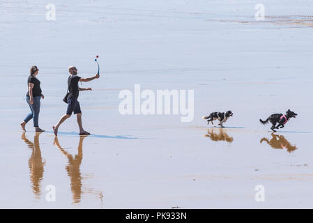 Hund Wanderer Werfen einer Kugel für ihre Hunde auf fiustral Strand in Newquay Cornwall. Stockfoto