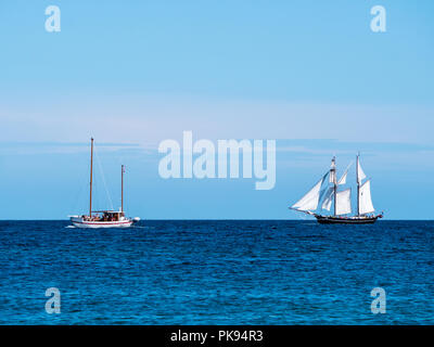 Tall Ship der Dänemark Insel Monn, Ostsee, Dänemark, Skandinavien, Europa. Stockfoto