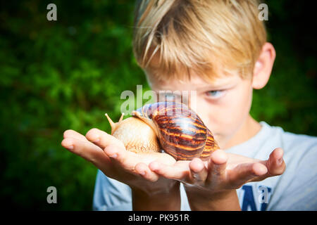 Kind Junge suchen Bei Giant snail auf Palm. Ungewöhnliche home pet-Beispiel. Selektiver Fokus Stockfoto