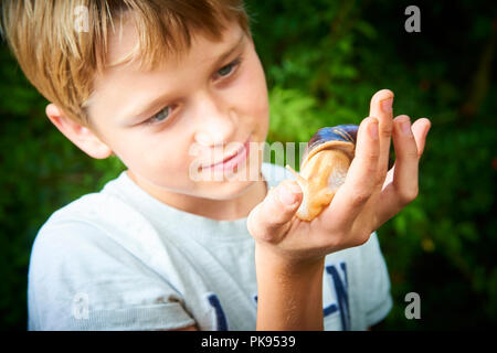 Kind Junge suchen Bei Giant snail auf Palm. Ungewöhnliche home pet-Beispiel. Selektiver Fokus Stockfoto