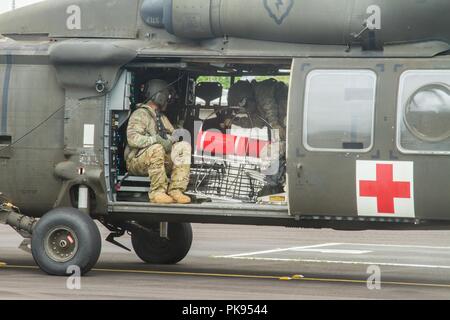 HH-60M Black Hawk Flugzeugbesatzungen, 25 Combat Aviation Brigade, 25 Infanterie Division, Washington, bieten lokalen Orientierung der am stärksten beschädigten Bereiche zu identifizieren, und Rescue Hoist, die im Rahmen der Joint Task Force 5-0 Aug.28, 2018, 28. August 2018. Die Task Force wurde eingerichtet, um die Auswirkungen von Hurrikan Lane auf Hawaii zu reagieren. Der lokalen und staatlichen Behörden von Hawaii, durch JTF 5-0 beantragt, HH-60M Black Hawk Hubschraubern mit Hebezeug Fähigkeit lokaler Behörden mit Wiederherstellungs Operationen auf der Insel von Hawaii zu unterstützen. JTF 5-0 ist eine gemeinsame Task Force führte durch eine du Stockfoto