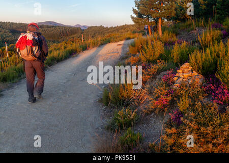 Wandern auf der Route di Santiago di Compostera Stockfoto