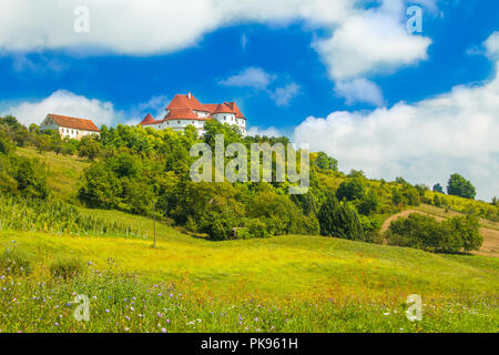 Alte Burg Veliki Tabor auf Hügel, Zagorje, Kroatien, Blick durch den Weinberg treibt, selektiven Fokus Stockfoto