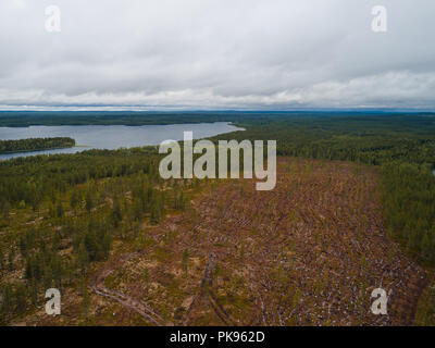 Finnland, Wald in Lappland mit einem offenen Feld wo deforesting Ort am See an einem bewölkten Tag genommen hat Stockfoto