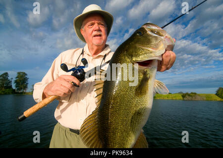 Phosphat Gruben sind einige der oberen Largemouth bass Gewässern in Florida. Viele riesen Schwimmen im seichten Gewässer mit dichter Vegetation. Stockfoto