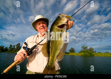 Phosphat Gruben sind einige der oberen Largemouth bass Gewässern in Florida. Viele riesen Schwimmen im seichten Gewässer mit dichter Vegetation. Stockfoto