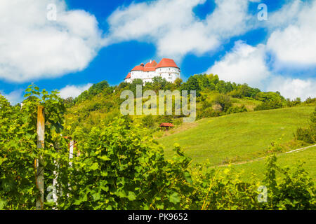 Alte Burg Veliki Tabor auf Hügel, Zagorje, Kroatien, Blick durch den Weinberg treibt, selektiven Fokus Stockfoto