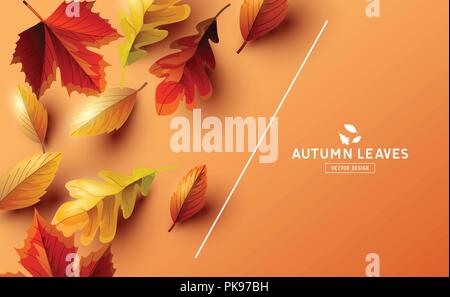 Herbst saisonal Hintergrund Rahmen mit dem fallenden Herbstlaub und Platz für Text. Vector Illustration Stock Vektor
