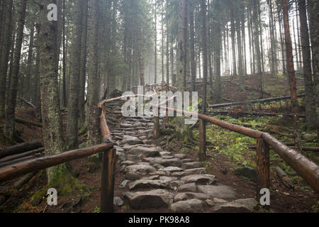 Weg nach Morskie Oko in der Tatra in Polen Stockfoto