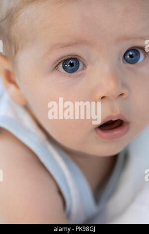 Kleines Baby mit großen blauen Augen Vertrauen in eine Nahaufnahme 7/8 Portrait von seinem Gesicht in die Kamera starrt Stockfoto