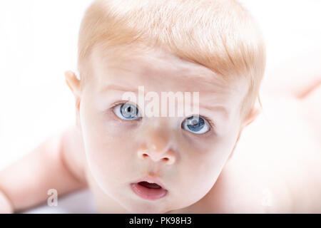 Blond baby boy mit großen blauen Augen starrte in die Kamera mit Faszination in einem High Key Close up 7/8 Porträt des Gesichts Stockfoto