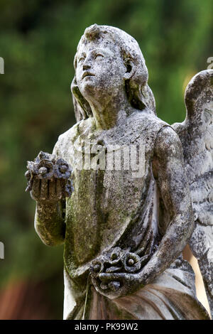 Die steinerne Monument Statue von Engeln, die auf dem Grab mit einer natürlichen Umgebung im Hintergrund. Alte Friedhof mit Grabsteinen Statuen. Stockfoto