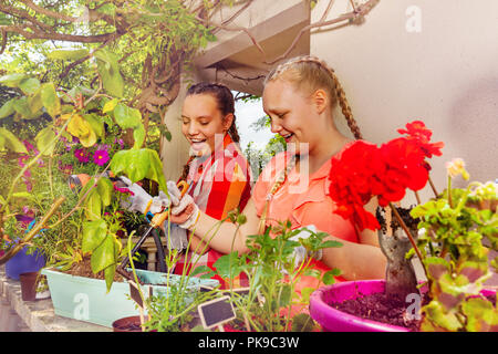 Zwei Mädchen im Teenager-Alter Blumen Pflanzen auf der Terrasse Stockfoto