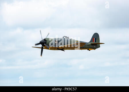 Eine Hawker Sea FuryCarrier Jagdbomber der Fleet Air Arm getragen. Eine der schnellsten Kolben zweimotorigen Flugzeuge der Ära nach dem Zweiten Weltkrieg Stockfoto