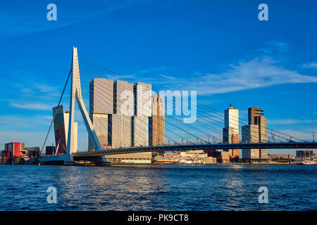 Rotterdam Stadtbild mit Erasmus Brücke über Fluss Nieuwe Maas auf den Sonnenuntergang. Niederlande Stockfoto