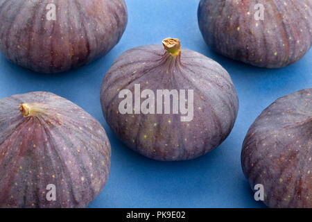 Feigen auf blauem Hintergrund Stockfoto