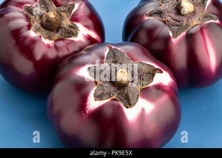 Runde mauve Aubergine auf blauem Hintergrund Stockfoto