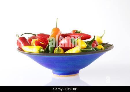 Capsicum annuum. Chilis in blauer Schüssel. Stockfoto