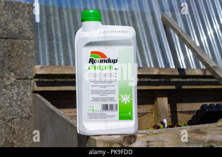 Zusammenfassung oder Glyphosat konzentriertes Unkrautvernichtungsmittel oder Unkrautvernichtungsmittel in einem Kunststoff- Flasche Stockfoto