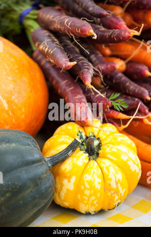 Bunte lila, orange und gelbe Karotten und Kürbis Anzeige der organischen Herbst Herbst Gemüse bei Farmers Market. Selektiver Fokus auf gelben Squash. Stockfoto