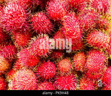 In der Nähe des frischen asiatischen Indonesischen rambutan tropische Früchte hervorbringen zum Verkauf auf einem Markt in Chinatown, New York City, United States, USA Stockfoto