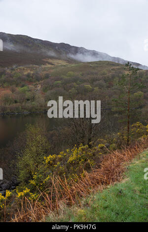 Regnerischen Frühlingstag am Llyn Crafnant Trefriw in der Nähe von Snowdonia, North Wales. Stockfoto