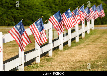 Patriotische Anzeige der amerikanische Flaggen schwenkten auf weißen Lattenzaun. Typische Kleinstadt Americana 4. Juli Unabhängigkeitstag Dekorationen. Stockfoto