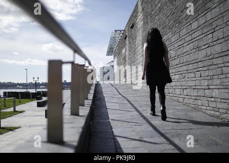 Der Senedd, Cardiff, Großbritannien, Oktober 2017 Stockfoto