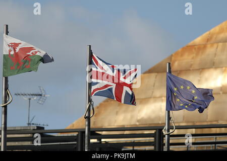 Der Senedd, Cardiff, Großbritannien, Oktober 2017, Flags flying Y Ddraig Goch, den Union Jack und EU-Flagge ausserhalb des Nationalen Zusammenbauen für Wales, Y Senedd Stockfoto