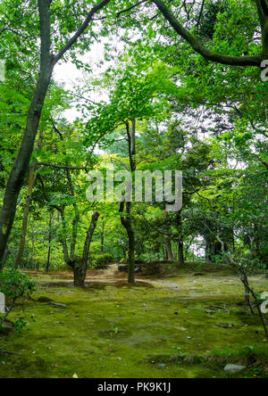 Kenroku-en Garten, Präfektur Ishikawa, Kanazawa, Japan Stockfoto