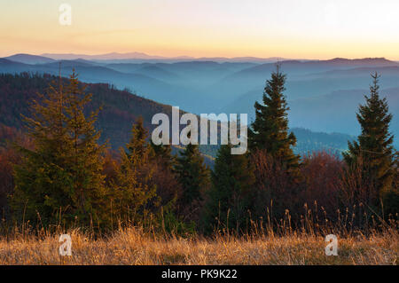 Sunlit fichte, kiefer Bäume gegen Smoky Mountain Range in Lila, Blau grauer Nebel unter warmem Orange wolkenlosen Himmel bedeckt an einem warmen Herbstabend im Oktober Stockfoto