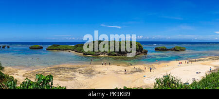 Hoshizuna Strand, yaeyama Inseln, flachkopfkatze, Japan Stockfoto