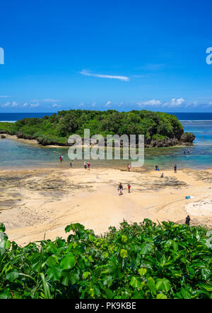 Hoshizuna Strand, yaeyama Inseln, flachkopfkatze, Japan Stockfoto