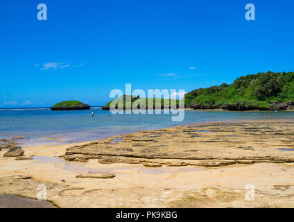 Hoshizuna Strand, yaeyama Inseln, flachkopfkatze, Japan Stockfoto