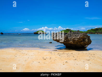 Hoshizuna Strand, yaeyama Inseln, flachkopfkatze, Japan Stockfoto