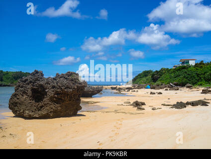 Hoshizuna Strand, yaeyama Inseln, flachkopfkatze, Japan Stockfoto