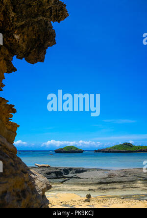 Hoshizuna Strand, yaeyama Inseln, flachkopfkatze, Japan Stockfoto