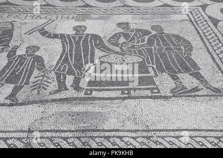 Italien, Latium, Rom, Ostia Antica, Mosaiken aus Aula dei Misuratori del Grano. Stockfoto