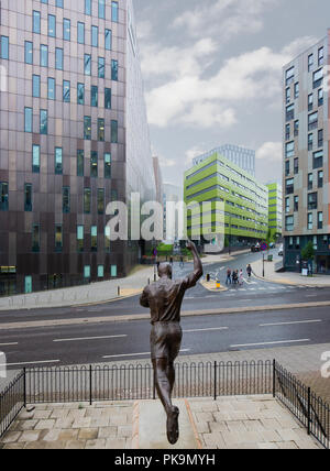 Statue von Alan Shearer außerhalb der St James' Park, Newcastle United Football Ground Stockfoto