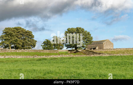Feld Scheune, Wilson Narbe, oben Bampton Grange, Cumbria Stockfoto