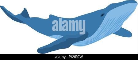 Vector Illustration eines Blauwals auf weißem Hintergrund Stock Vektor