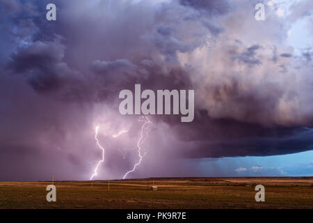 Blitzschlag bei einem Gewitter über dem Petrified Forest National Park in der Nähe von Holbrook, Arizona Stockfoto