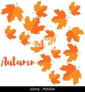 Vektor. Herbst Hintergrund. Der gelbe Ahornblätter Stock Vektor