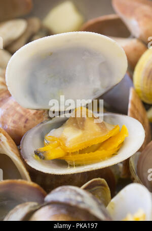 Frische Meeresfrüchte zubereitet accordin in ein italienisches Rezept Stockfoto