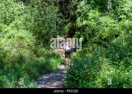 Wandern auf der Route di Santiago di Compostera Stockfoto