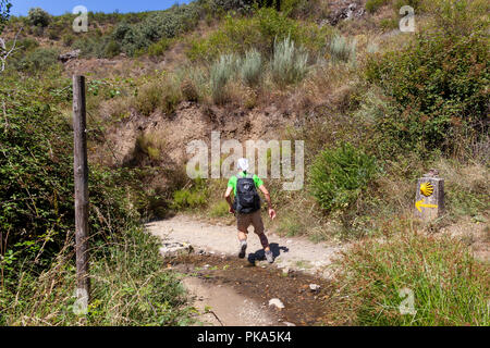 Wandern auf der Route di Santiago di Compostera Stockfoto