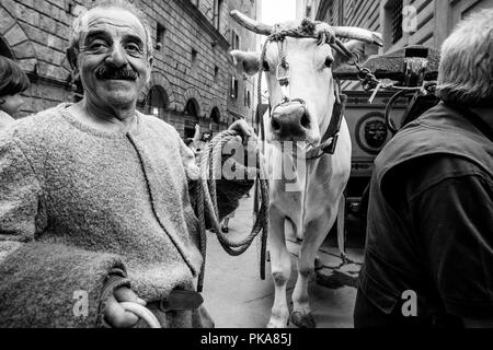 Die traditionelle "weißen Ochsen" sind durch die Straßen von Siena und der Palio di Siena, Siena, Italien vorgeführt Stockfoto