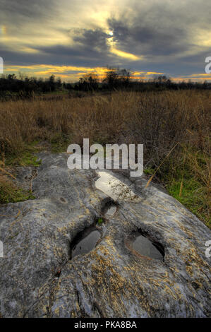 Westliche Blandy Versuchsbetrieb in Clarke County Virginia. Stockfoto