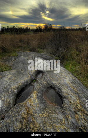 Westliche Blandy Versuchsbetrieb in Clarke County Virginia. Stockfoto